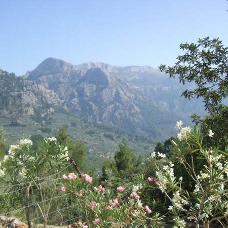 Casita De Montana Cerca Del Mar Guest House Форналуткс Екстериор снимка